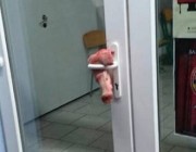 Pig’s head hung on mosque door in Vienna