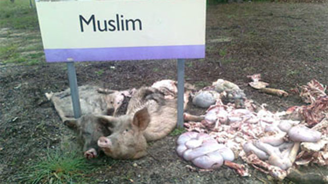 Rockingham pig carcass