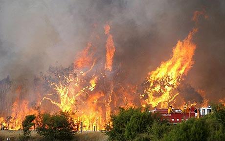 Australian+bushfire