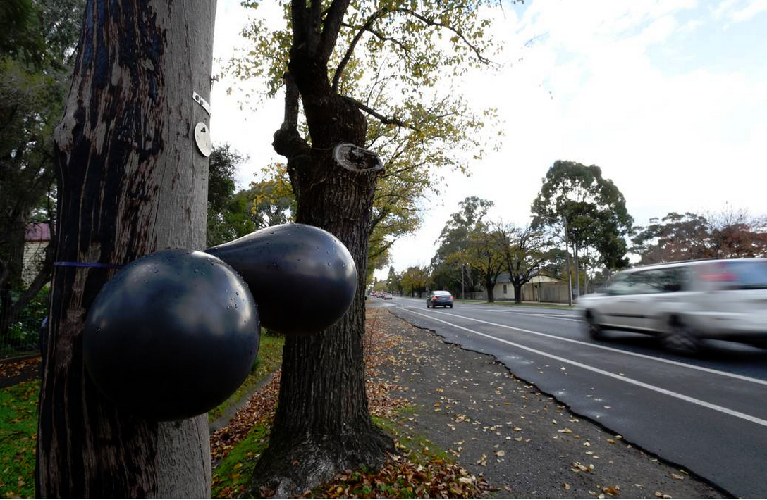 Bendigo black balloons