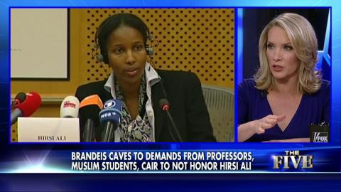 Fox News Hirsi Ali