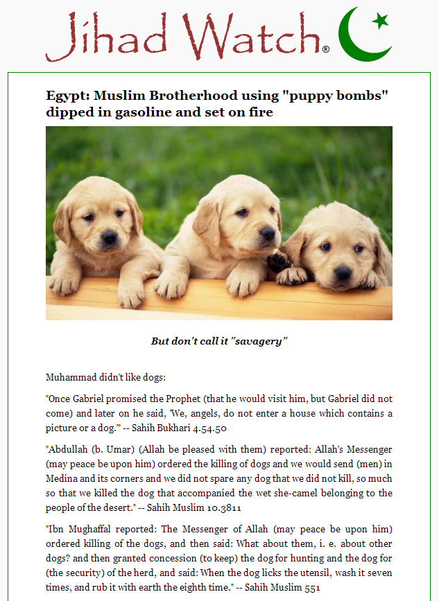 Jihad Watch Muslim Brotherhood puppy bombs (2)