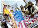 Quran desecration protest